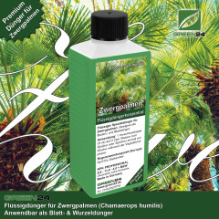 Zwergpalmen NPK Flüssigdünger mit extra Phosphat für Chamaerops humilis 250ml