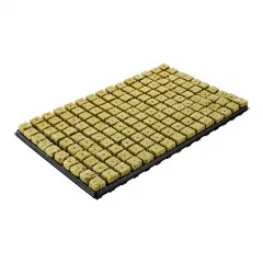 150 Steinwollewürfel Anzuchtblock 25x25x40mm im Kunststofftray (Einweg)