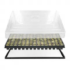 Anzuchthaus STW-150 inkl. 150 Steinwollewürfel 25x25x40mm (53,0 x 31,0 cm) (Typ G24)