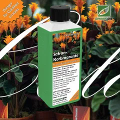 Calathea Crocata - Dünger (Safran-Korbmarante) - Mineralischer NPK Flüssigdünger 250ml