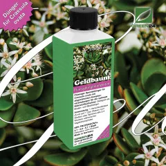 Geldbaum-Dünger Pro – 250ml NPK-Konzentrat für Crassula ovata | Pfennigbaum düngen für kräftige Blätter & üppige Blüten | Sukkulenten-Dünger mit Spurenelementen