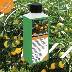 Orangenbaum-Dünger Citrus Sinensis – 250ml Spezialdünger für süße Orangen | Für reiche Ernte & mediterrane Pracht | Professionelle Zitruspflege