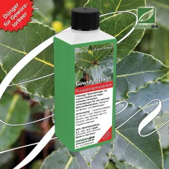 Gewürzlorbeer-Dünger für Laurus nobilis – Optimale Pflege und Vitalität für Ihren Echten Lorbeer NPK 250ml