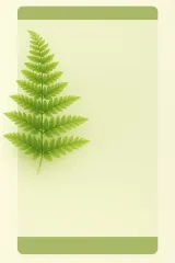 Farn-Komplex AF - 5 Liter anwendungsfertiger Dünger kalkfrei für alle Farnarten