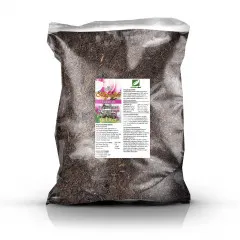 Magnolien Erde 10L Profi Linie – Das Edel-Substrat für spektakuläre Blütenpracht