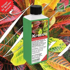 Kroton Dünger 250 ml – Flüssigdünger für Codiaeum variegatum, Wunderstrauch