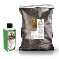 Pampasgras Umpflanz-Set - 10L Drainagestarkes Substrat + 250ml Dünger für Wedel
