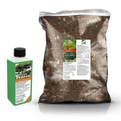 Pinien Umpflanz-Set - 10L Profi-Substrat + 250ml Dünger